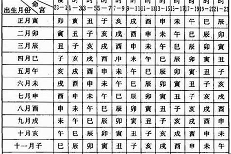 1997年1月生肖